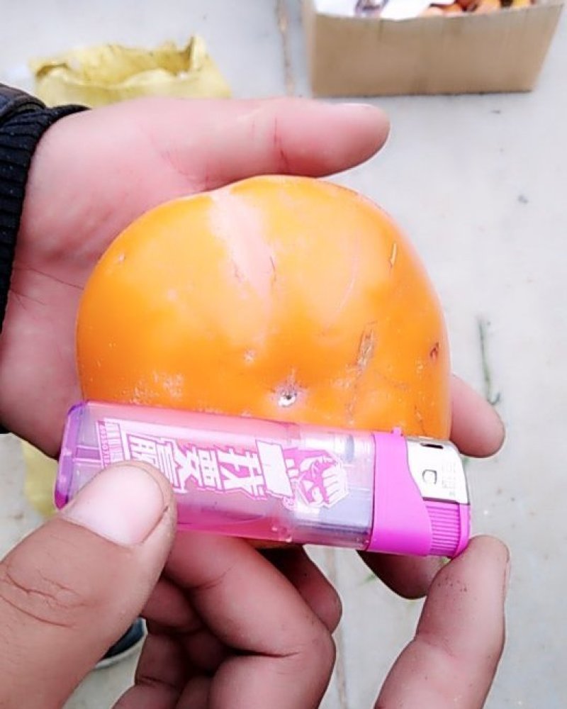 枾子
