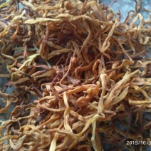 正宗湖南祁东黄花菜产地直发