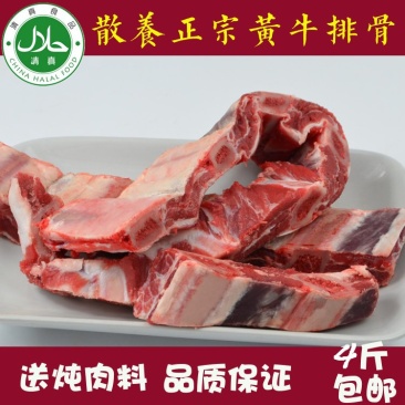 新鲜牛排骨正宗南阳黄牛排骨多肉新鲜速冻清真