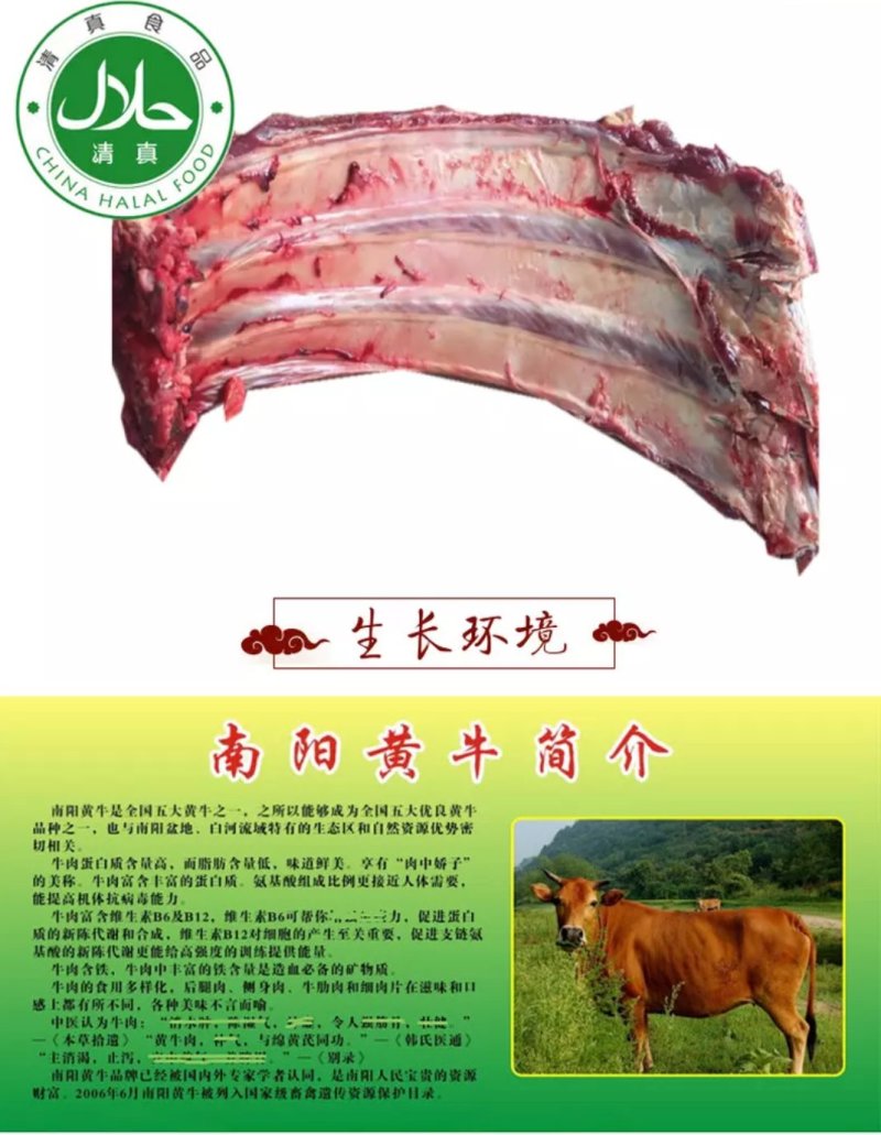 新鲜牛排骨正宗南阳黄牛排骨多肉新鲜速冻清真
