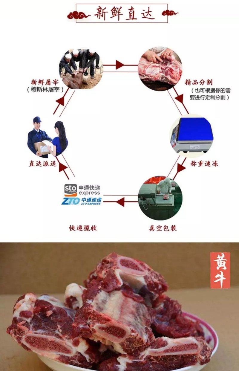 新鲜牛排骨正宗南阳黄牛排骨多肉新鲜速冻清真