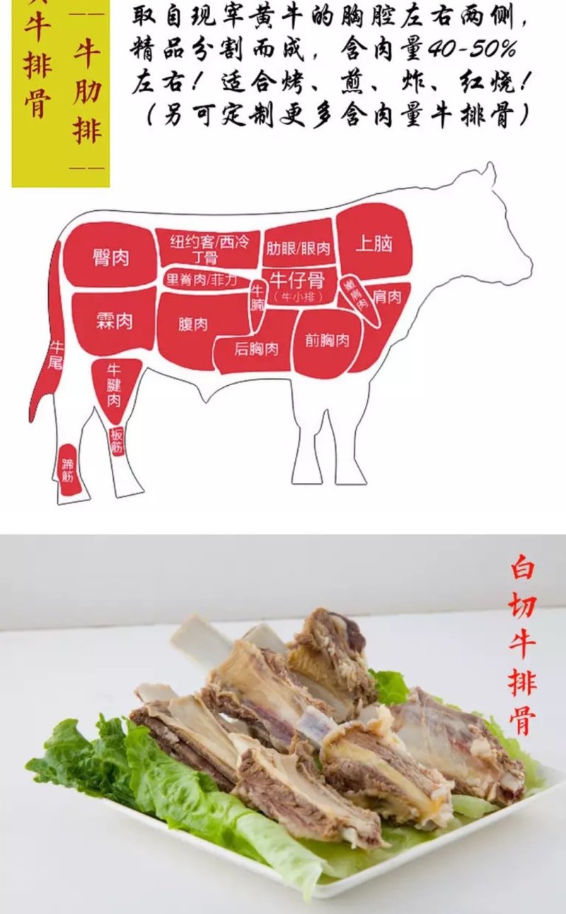 新鲜牛排骨正宗南阳黄牛排骨多肉新鲜速冻清真