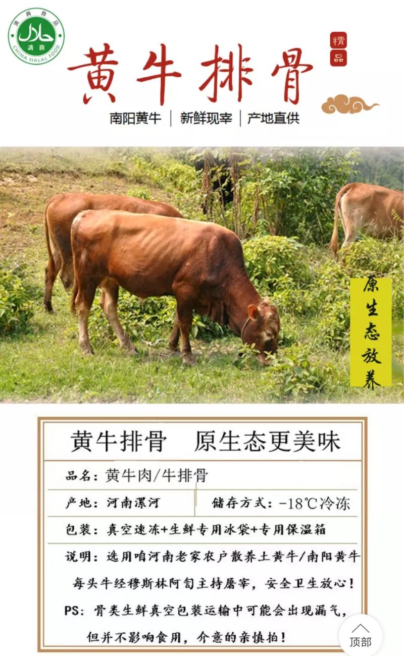 新鲜牛排骨正宗南阳黄牛排骨多肉新鲜速冻清真