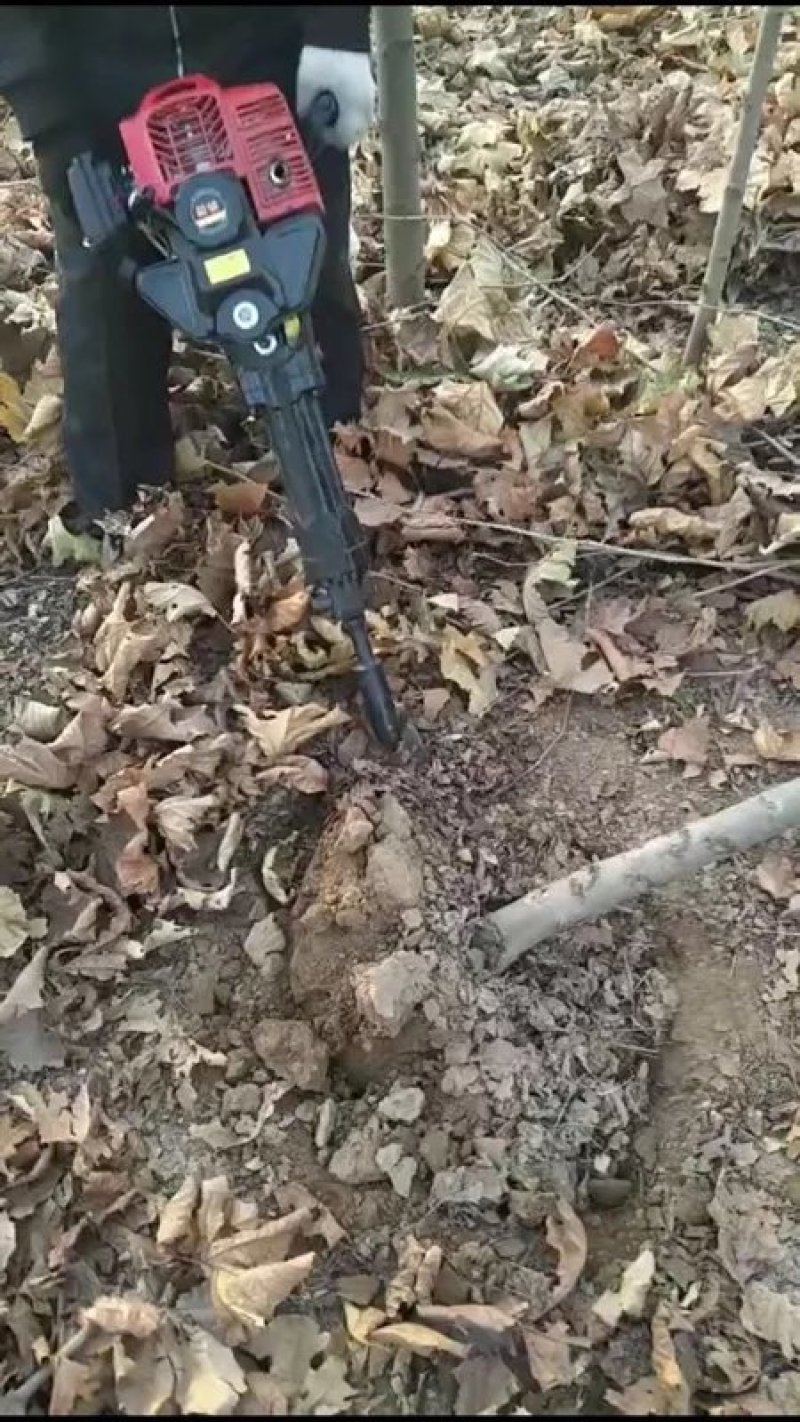 挖树机起树断根移树起苗机挖土球刨坑铲楸油镐破碎机起树机