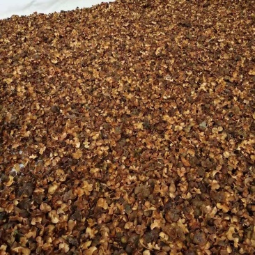 茶籽壳及茶仔子大量供应