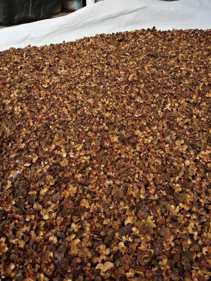 茶籽壳及茶仔子大量供应