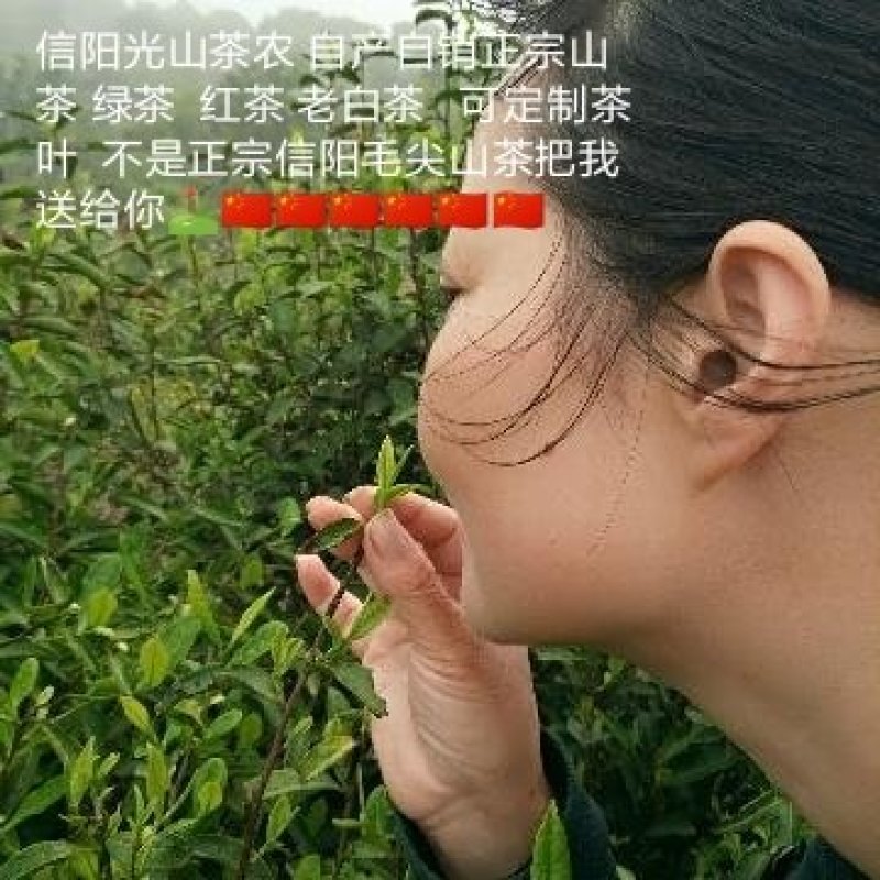 只卖纯手炒制正宗信阳毛尖新茶绿茶耐泡回口高香雨前叶茶