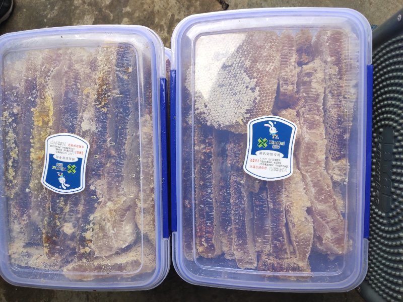 秦岭野生巢蜜，土蜂蜜，大量出售，