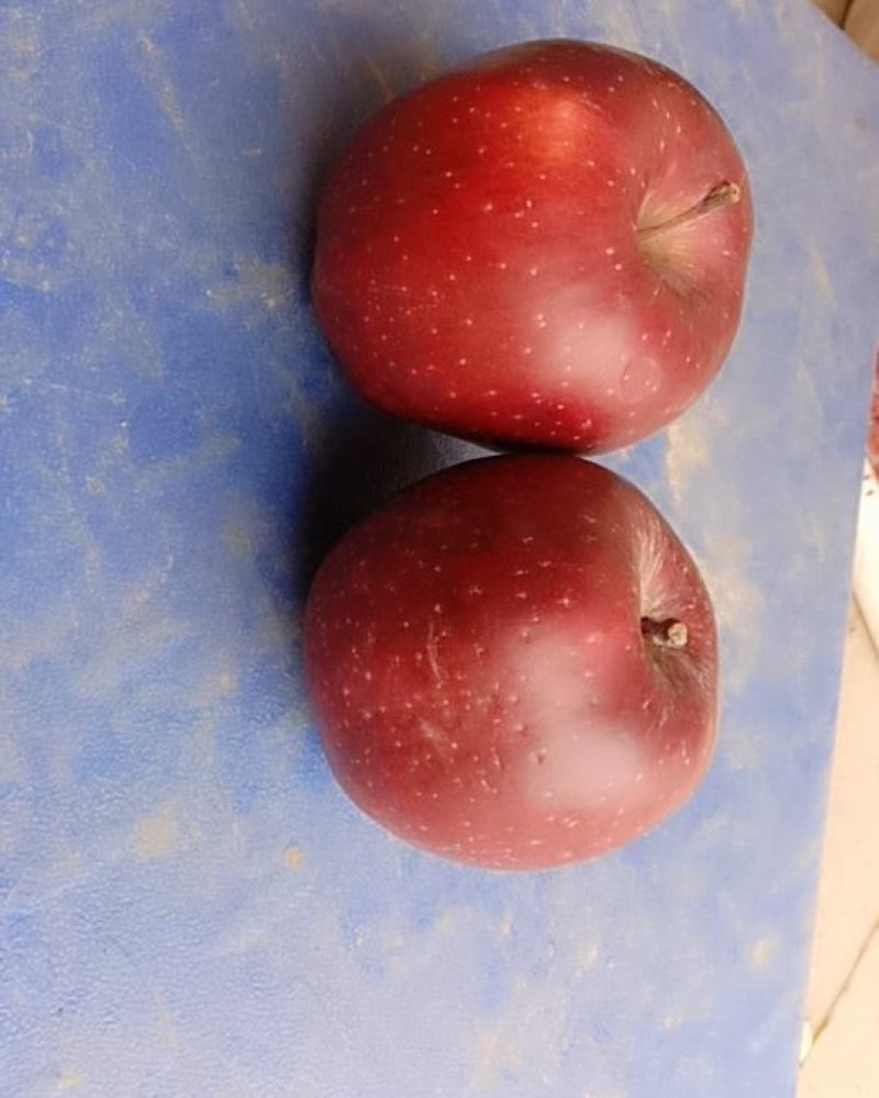 甘肃花牛苹果，蛇果