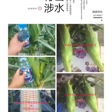 范家果业