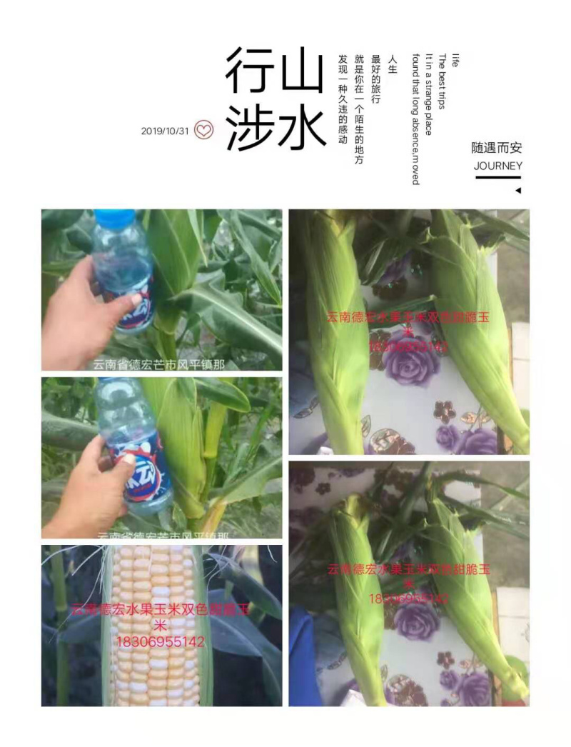 范家果业