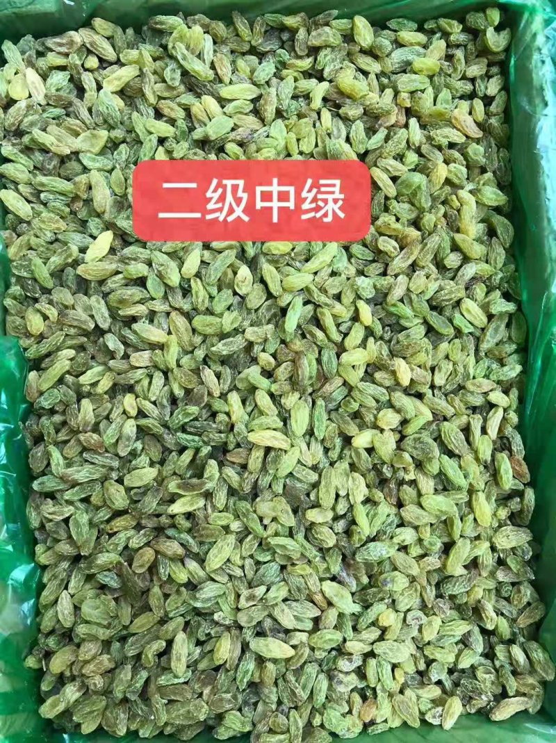 2021年新货新疆吐鲁番葡萄干大颗粒，绿宝石，树上黄