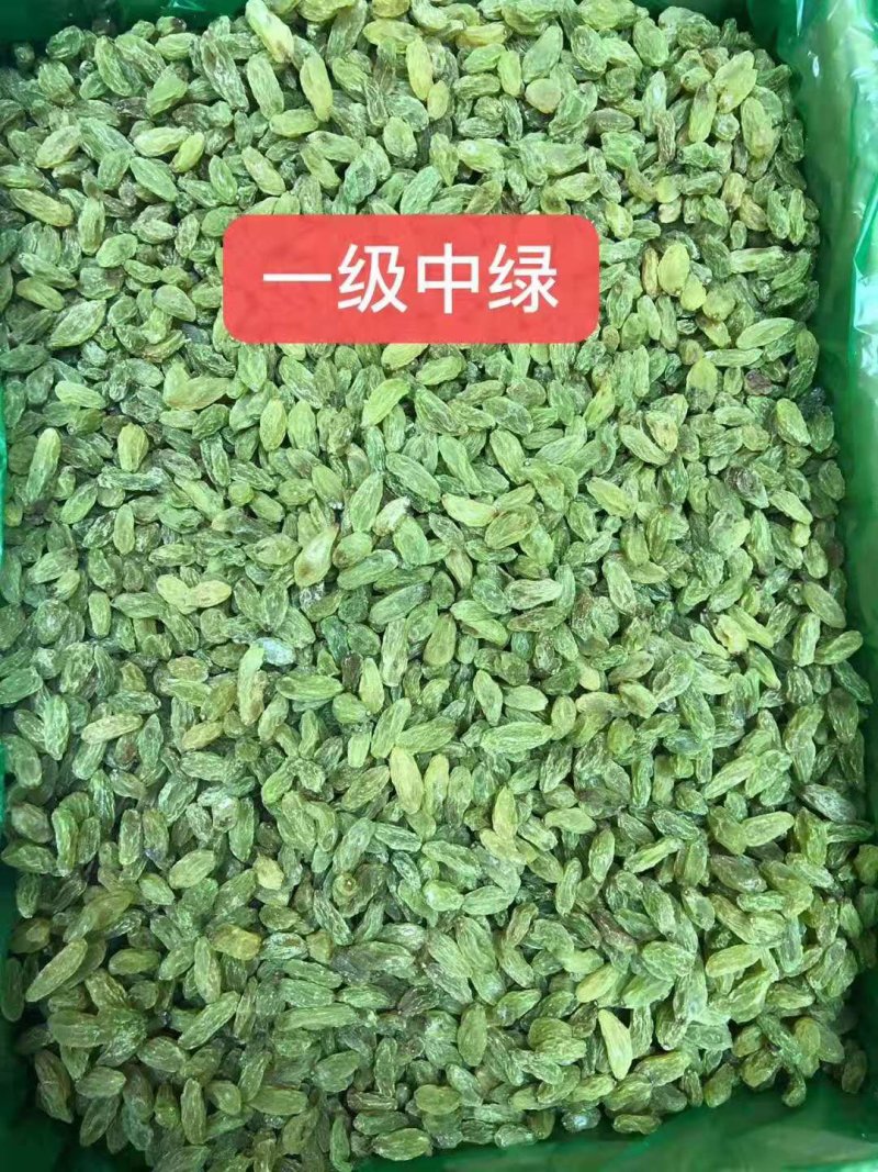 2021年新货新疆吐鲁番葡萄干大颗粒，绿宝石，树上黄
