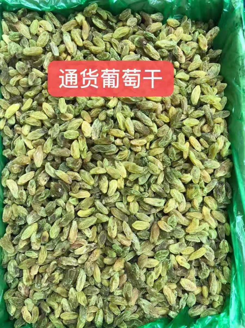 2021年新货新疆吐鲁番葡萄干大颗粒，绿宝石，树上黄
