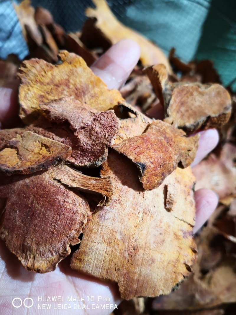 土茯苓广西干货无硫量大从优欢迎选购