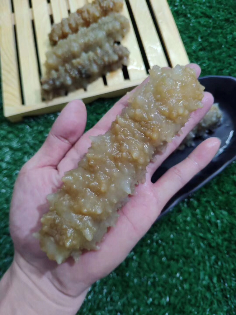 海参黄玉参黄肉参白玉参黄玉海参干货酒店专用海参滋补佳品