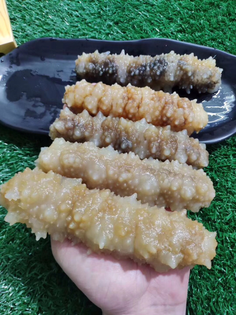 海参黄玉参黄肉参白玉参黄玉海参干货酒店专用海参滋补佳品