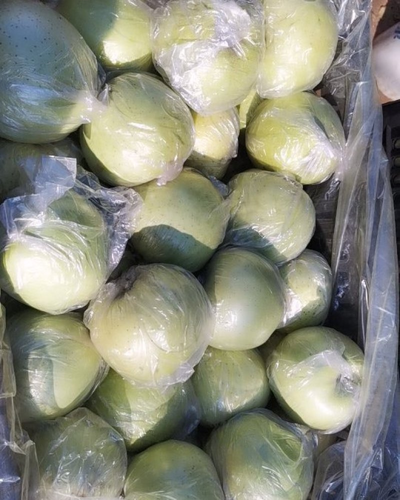 王林苹果树苗，成活率高，技术指导，保品种，可签合同