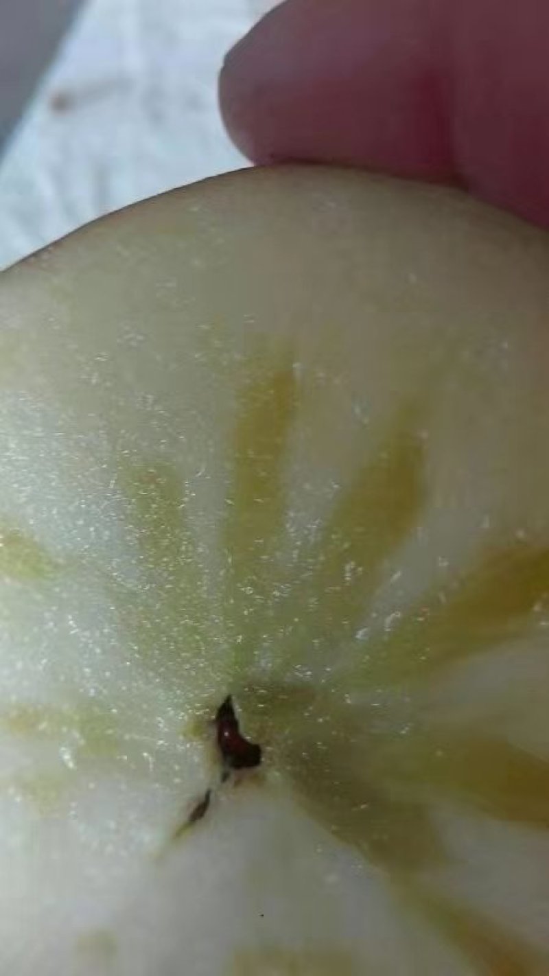 红富士苹果