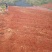 山地出租或转让本人现有开好的山地350亩出租，