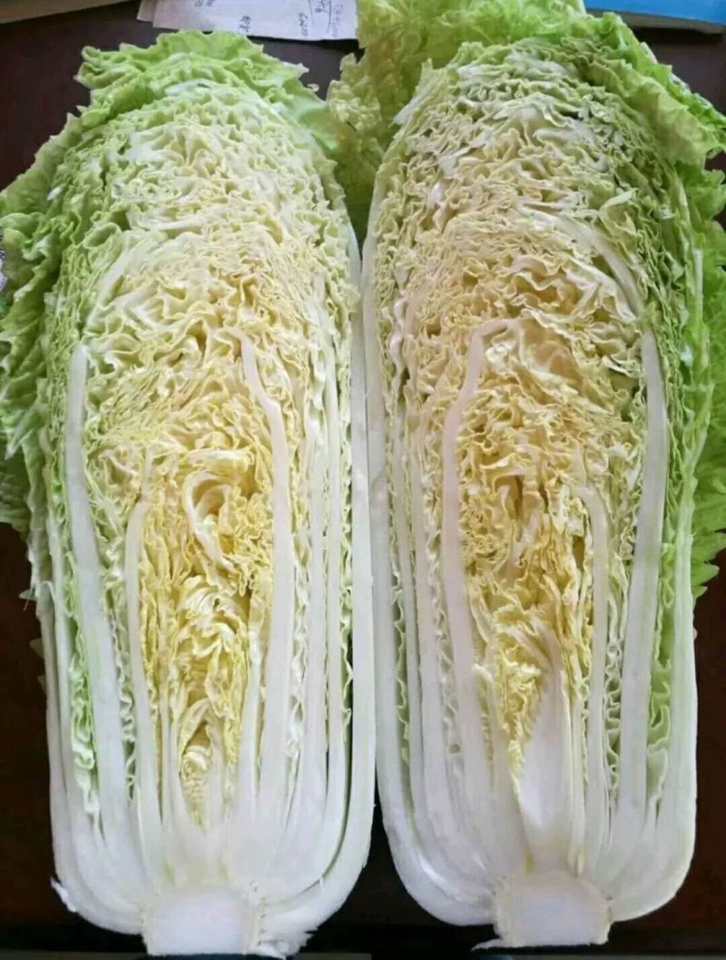 北京三号白菜大白菜供应超市，市场，加工各中包装