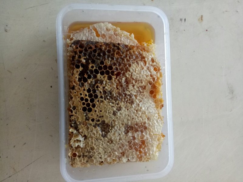 湖北武当山武当蜂蜜土蜂蜜野生蜂蜜野生巢蜜1斤装