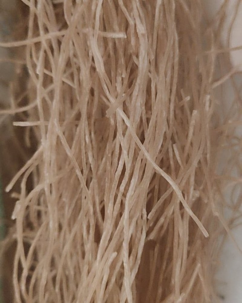 紫薯粉丝