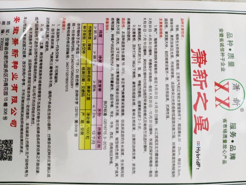 萧新之星大果薄皮辣椒种籽高产泡椒灯笼椒种