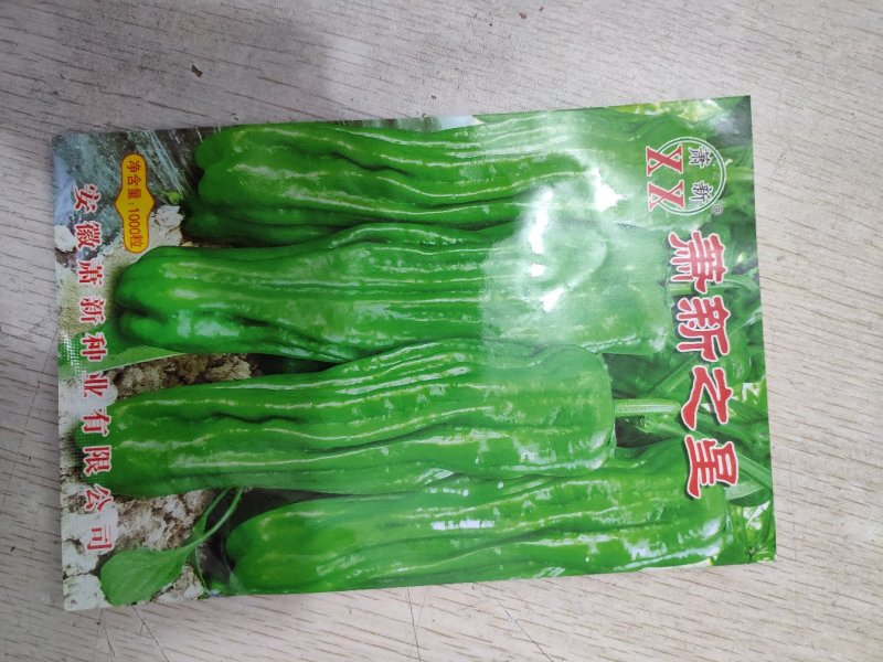 萧新之星大果薄皮辣椒种籽高产泡椒灯笼椒种