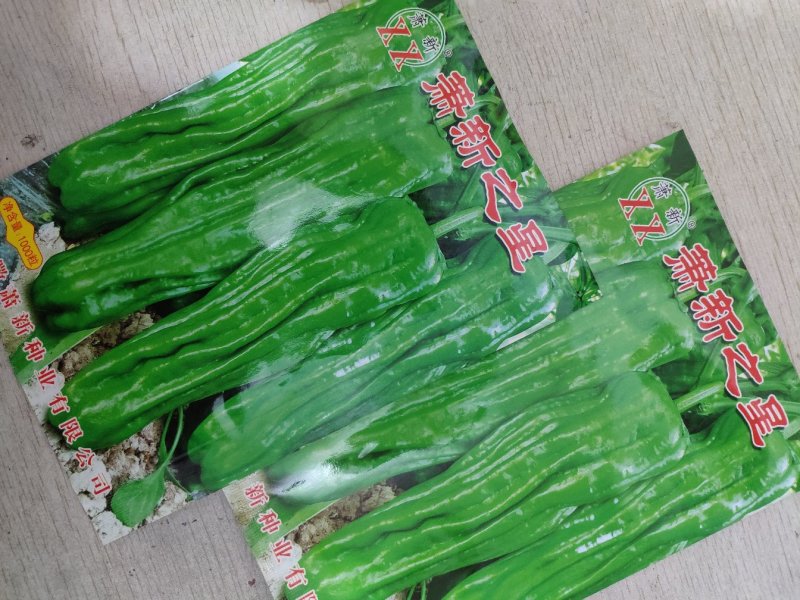 萧新之星大果薄皮辣椒种籽高产泡椒灯笼椒种