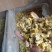 杭白菊茶菊花正品保证实图拍照无理由退货退款