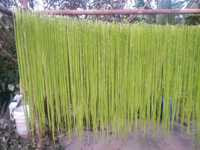 贡菜标准三级菜(不加水)