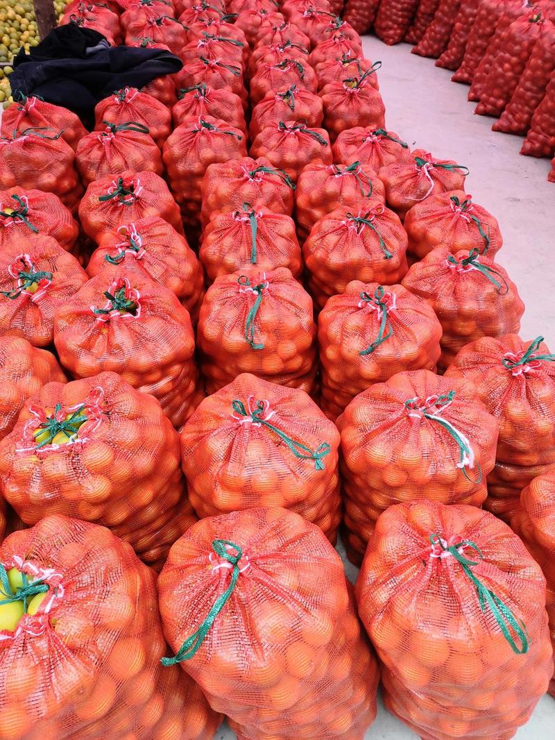 湖南冰糖橙，味甜大量上市，支持市场电商采购