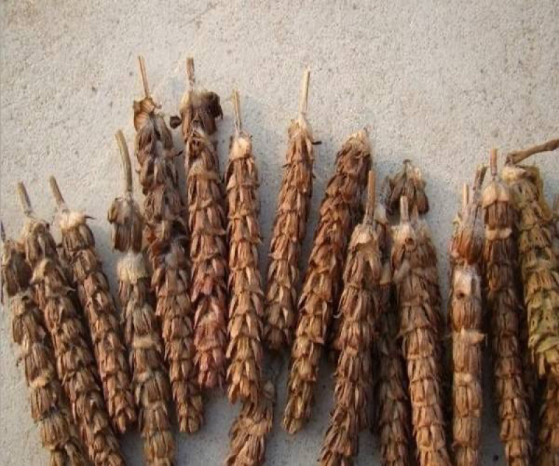 精品夏枯球中药材产地直销量大价优