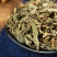 车前草中药材产地直销一手货源