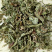 车前草中药材产地直销一手货源