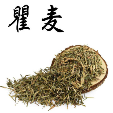 长年供应瞿麦中药材产地直销量大从优