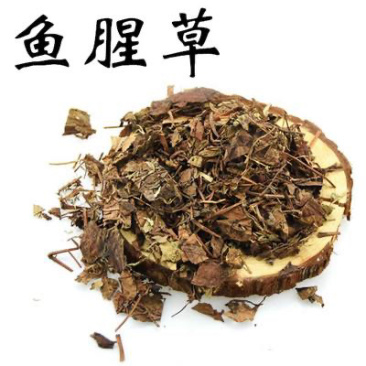 精品药用鱼腥草中药材产地直销量大从优