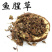 精品药用鱼腥草中药材产地直销量大从优