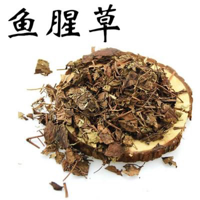 精品药用鱼腥草中药材产地直销量大从优