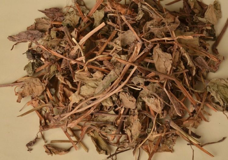 精品药用鱼腥草中药材产地直销量大从优