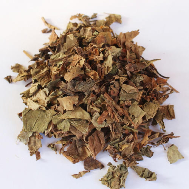 精品药用鱼腥草中药材产地直销量大从优