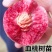 正宗【紫血桃树苗】直接可以下单包邮