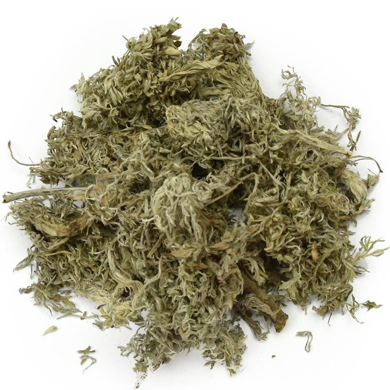 茵陈正品精品茵陈中药材产地直销