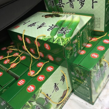 瓜茬萝卜