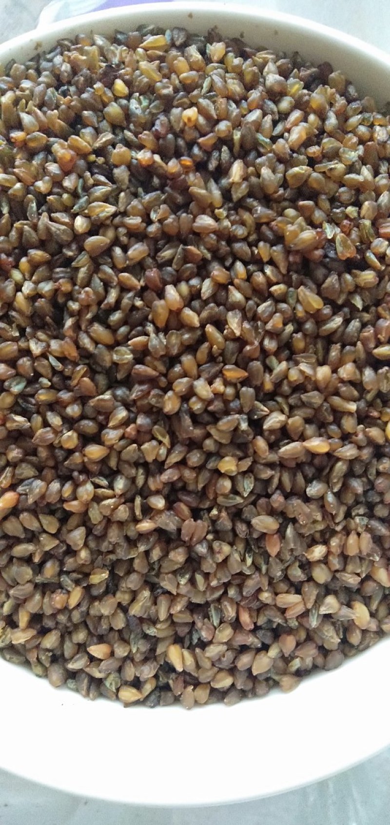 黑苦荞新货一级颗粒饱满8斤包邮一件代发量大从优
