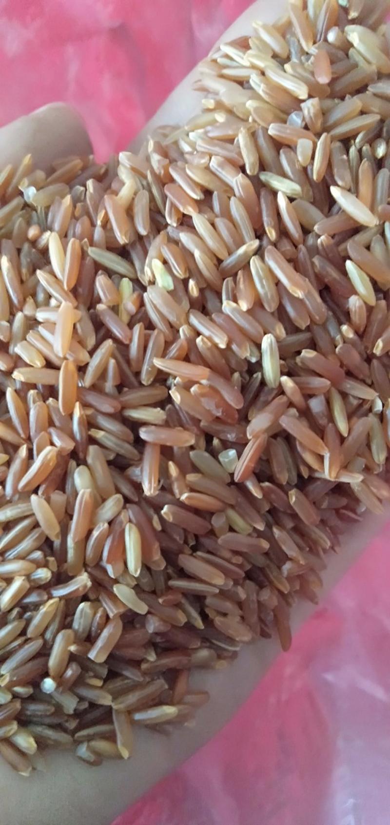 红米21年新货一级米香味浓优质杂粮红米8斤包邮