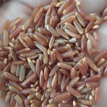 红米21年新货一级米香味浓优质杂粮红米8斤