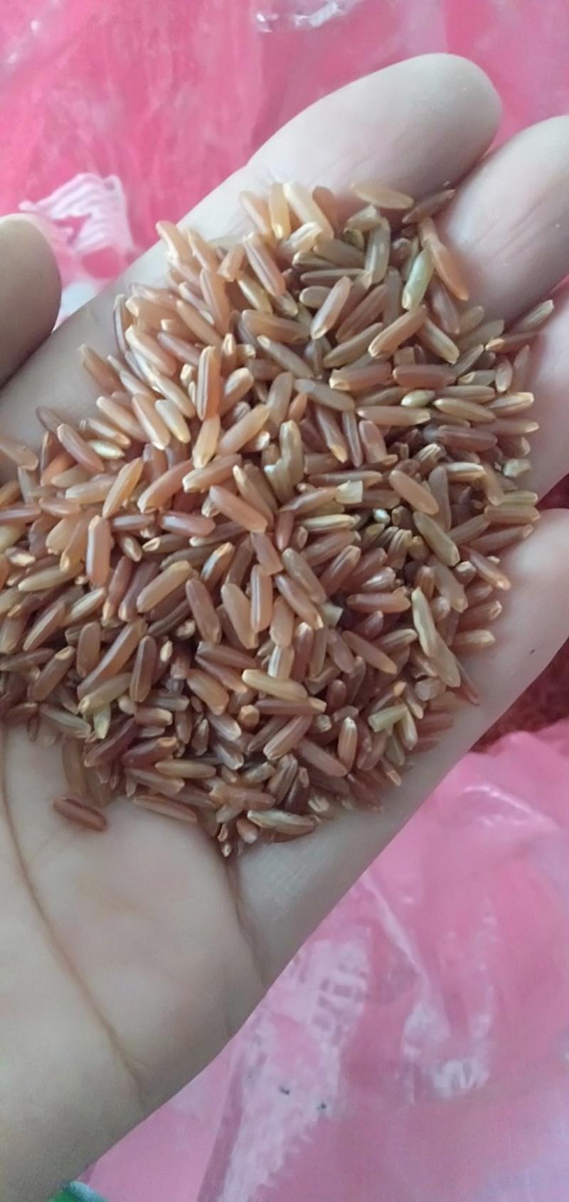 红米21年新货一级米香味浓优质杂粮红米8斤包邮