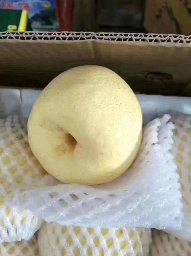 梨